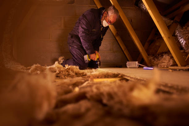 Professional Insulation Contractor in Grand Mound, WA